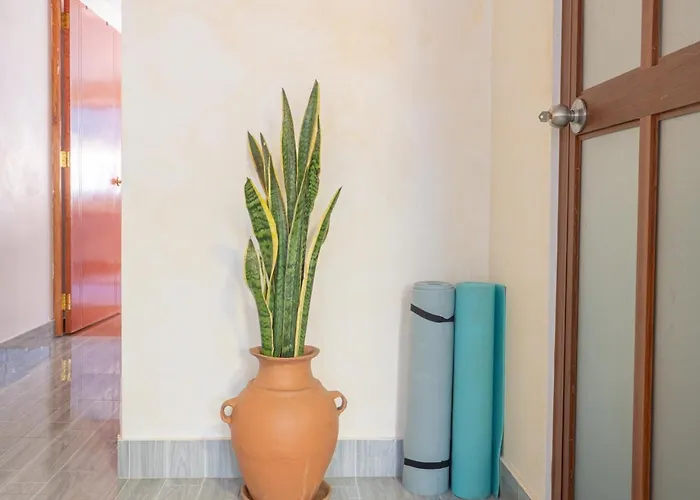 2br Mins From Square With Terrace Casitas
